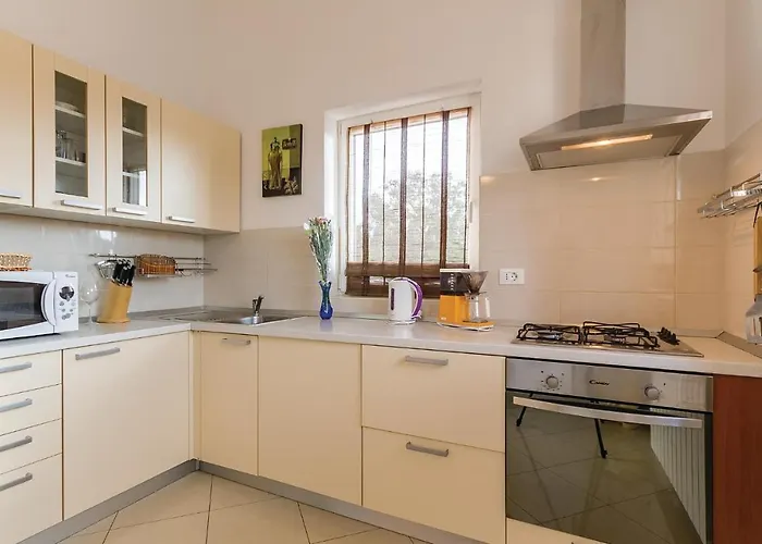 Stunning In With Wifi Vakantiehuis Ližnjan